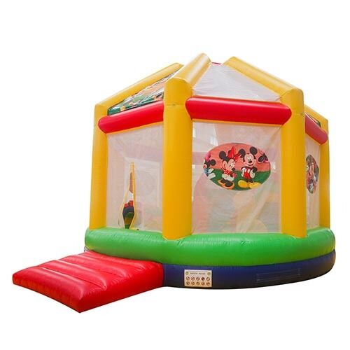 Mickey Mouse Playground